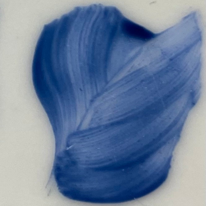 Colore in polvere in confezione da 10 grammi Bleu Artemagiashop