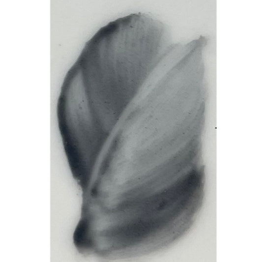 Colore in polvere in confezione da 10 grammi Artemagiashop