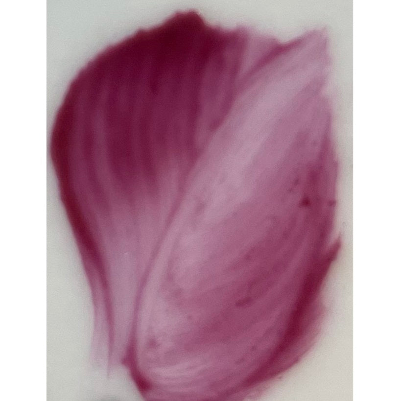 Colore n polvere in confezione da 10 grammi lilla artemagiashop