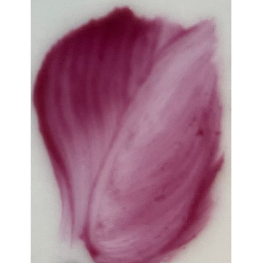 Colore n polvere in confezione da 10 grammi lilla artemagiashop