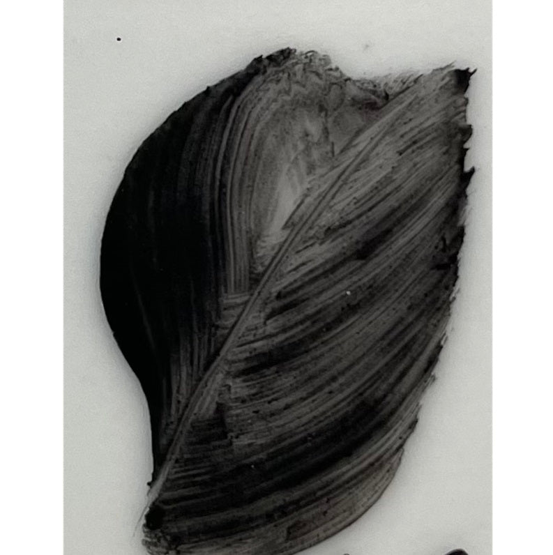 Colore in polvere in confezione da 10 grammi Nero Artemagiashop