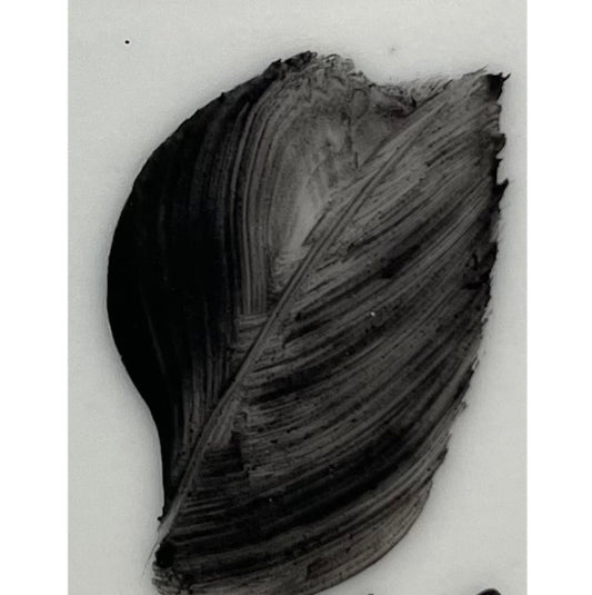 Colore in polvere in confezione da 10 grammi Nero Artemagiashop