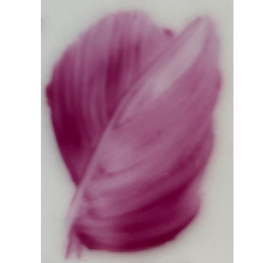 Colore in polvere in confezione da 10 grammi Porpora Ciclamino Artemagiashop