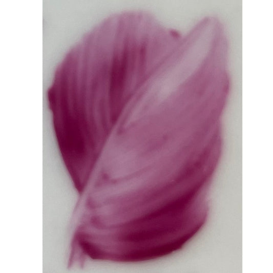 Colore in polvere in confezione da 10 grammi Porpora Ciclamino Artemagiashop