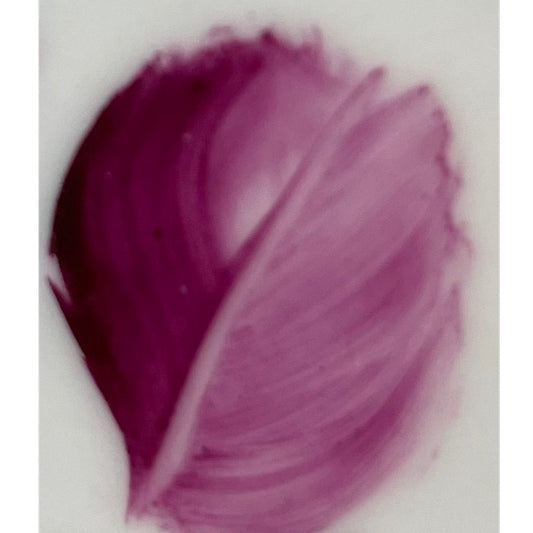 Colore in polvere in confezione da 10 grammi Porpora Ciclamino Ricco Artemagiashop