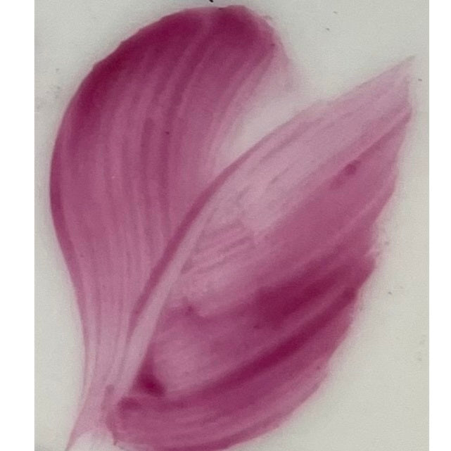 Colore in polvere in confezione da 10 grammi Rosa Brillante Artemagiashop