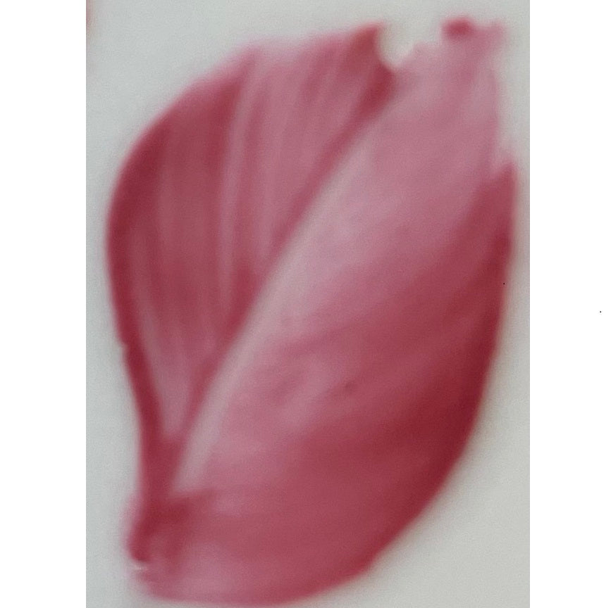 Colore in polvere in confezione da 10 grammi Rosa Chiaro Artemagiashop