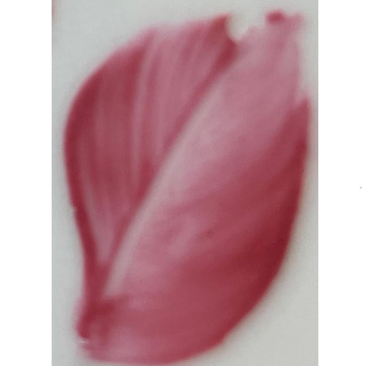 Colore in polvere in confezione da 10 grammi Rosa Chiaro Artemagiashop