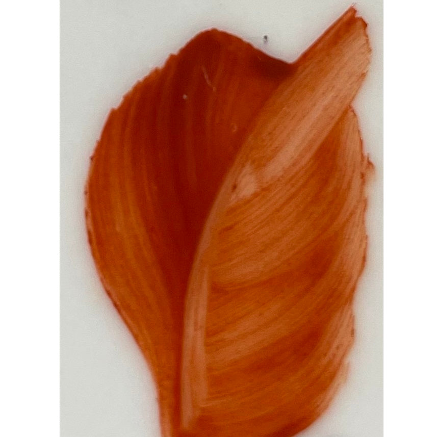 Colore in polvere in confezione da 10 grammi Artemagiashop