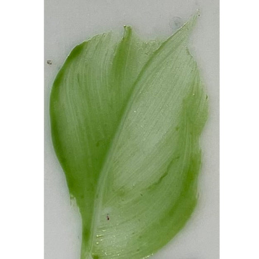 Colore n polvere in confezione da 10 grammi Artemagiashop