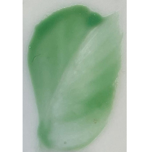 Colore in polvere in confezione da 10 grammi Artemagiashop