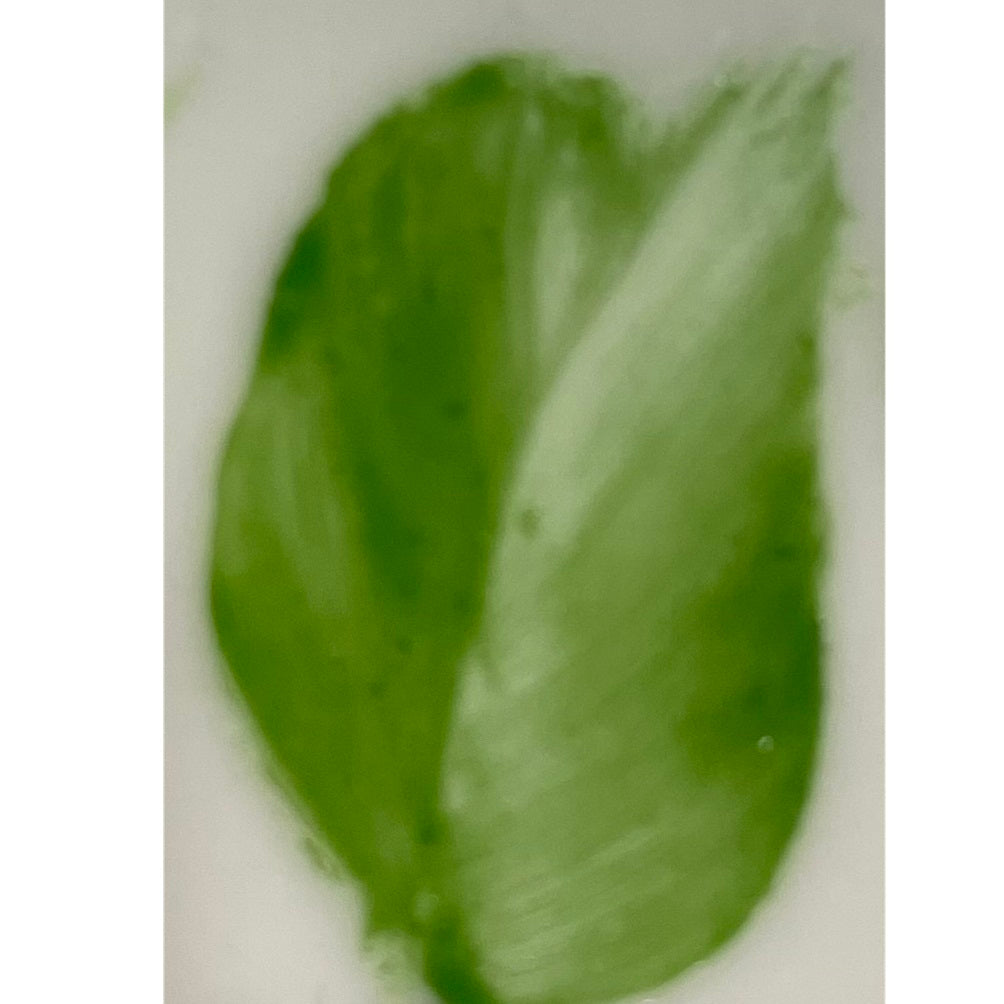 Colore in polvere in confezione da 10 grammi Artemagiashop