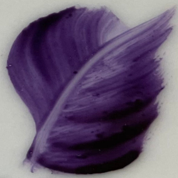 Colore in polvere da 10 grammi Artemagiashop