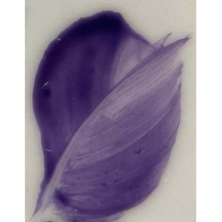 Colore in polvere in confezione da 10 grammi Violetto Artemagiashop