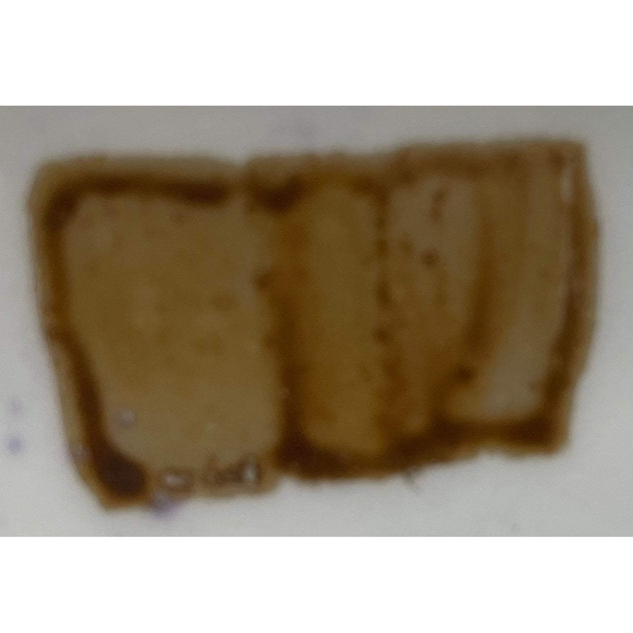 Lustro bruno ombra 5 ml Artemagiashop