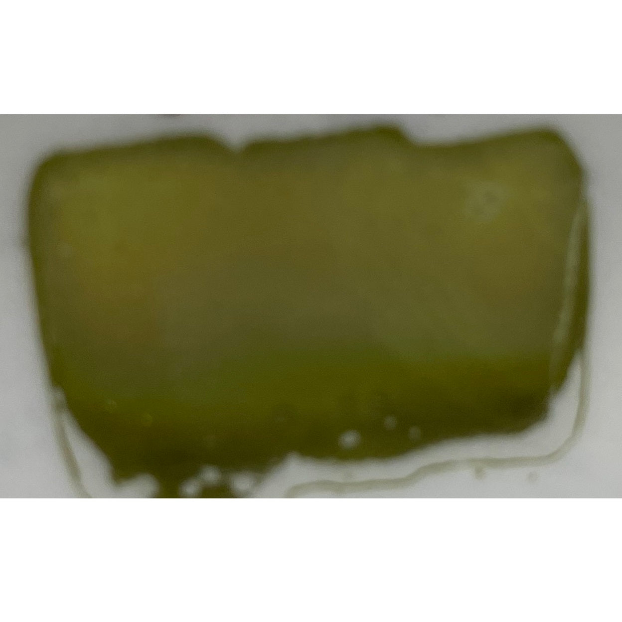 Lustro verde chiaro metallico 5 ml Artemagiashop