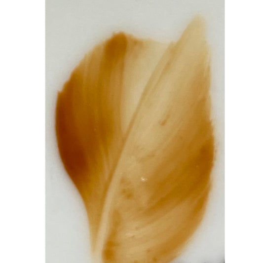 Colore in polvere in confezione da 10 grammi Bruno Tenue Artemagiashop