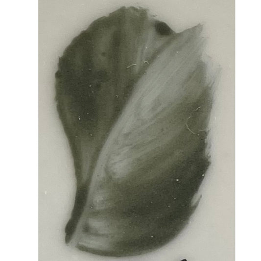 Colore in polvere in confezione da 10 grammi Grigio Verde Artemagiashop