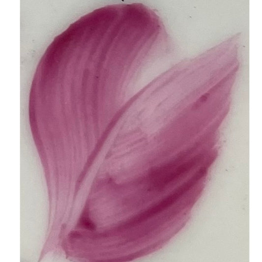 Colore in polvere in confezione da 10 grammi Rosa Brillante Artemagiashop