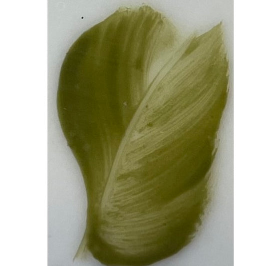 Colore in polvere in confezione da 10 grammi Artemagiashop