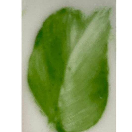 Colore in polvere in confezione da 10 grammi Artemagiashop