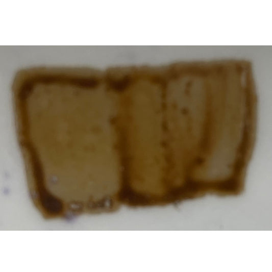 Lustro bruno ombra 5 ml Artemagiashop